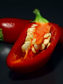 http://upload.wikimedia.org/wikipedia/commons/thumb/f/fd/Capsicum0.jpg/220px-Capsicum0.jpg