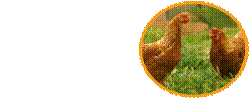 http://www.kalimantano.de/components/com_jshopping/images/categories/xcat_huhn.png.pagespeed.ic.XaVZT4_sXl.png