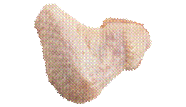 Hhnchen Flgel oder Spitze